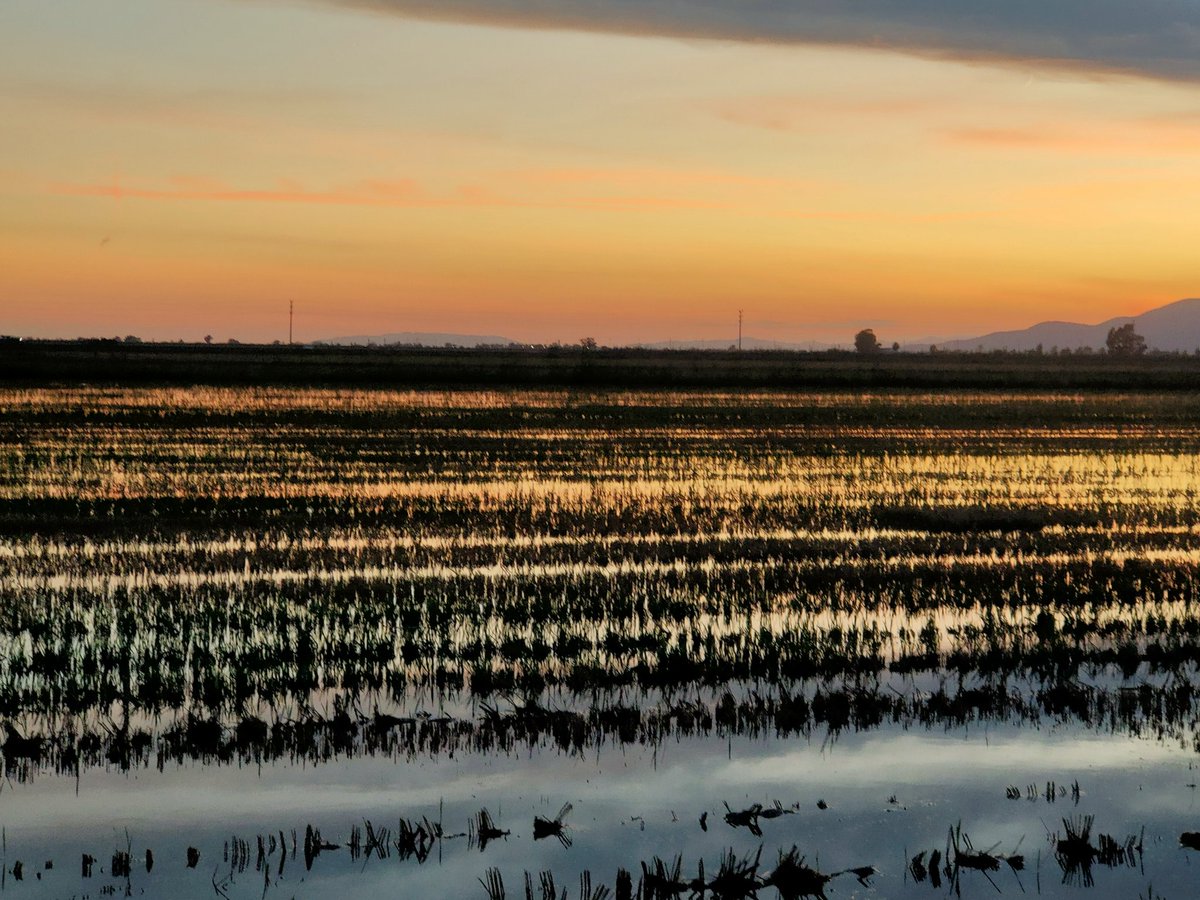 La llum de la tardor és un regal per els sentits, i si l' amaneixes amb els paisatges del delta és converteix quelcom indescriptible.

💪❤️👍♿🌎🚐🌅

#albertlleida #elmundoensilladeruedas #patapalos #handbikeros #camperlife #viajar   #accesibilidad  #vida #llibertat