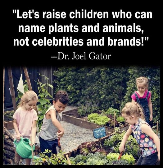 SubRosa )✿( Magick @subrosamagick.bsky.social (@subrosamagick) on Twitter photo 