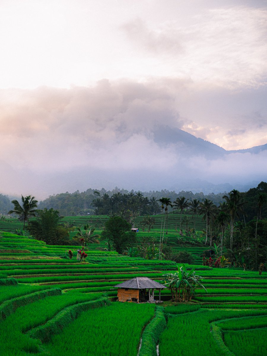 kotaro 🤖 tweet media