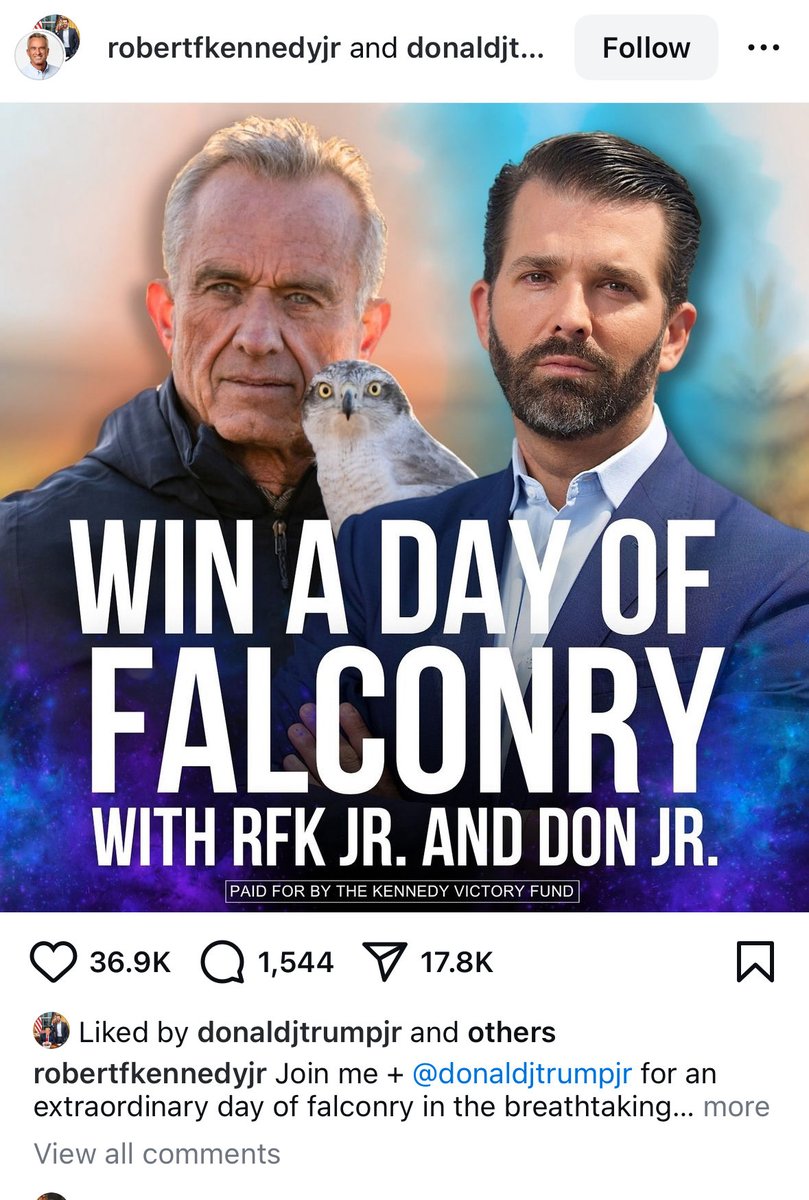 TVietor08's tweet image. Uncomfortably high odds that whoever does this winds up dumped in Central Park next to a bear corpse