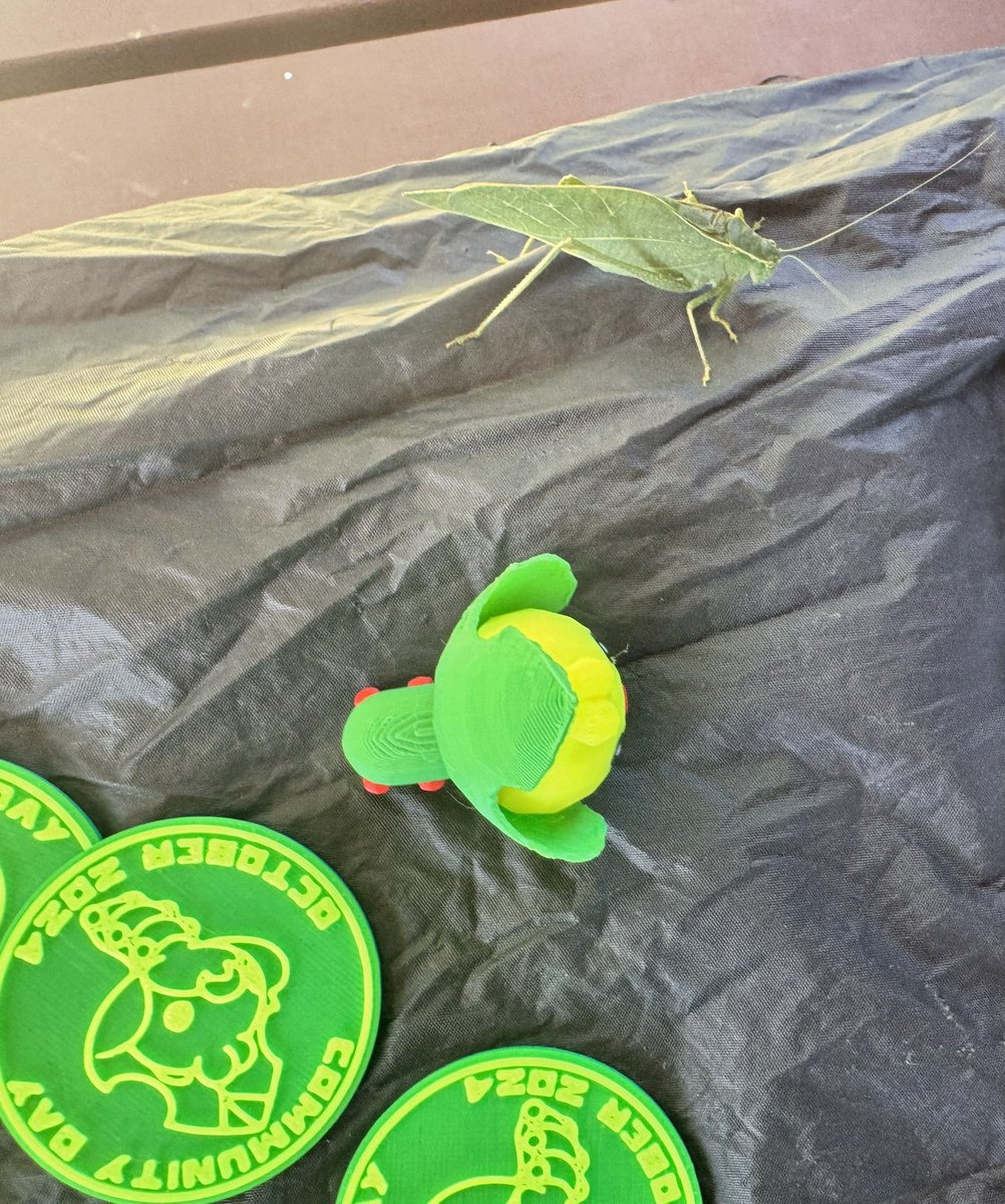 We had a surprise real-life Pokémon join our meetup for Swaddle #PokemonGOCommunityDay today!