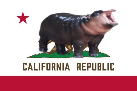 Was back in California this weekend so offer this with no further comment