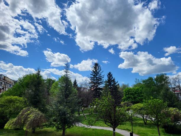 VOZI ロロ・ラブ (@lolovozi91621) on Twitter photo 