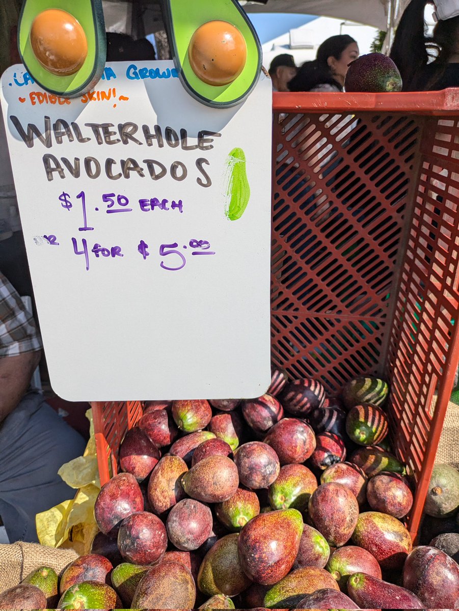 cookiesinheaven's tweet photo. #AvoFest #Carpinteria
#Avocado https://t.co/EU8oYylNwY