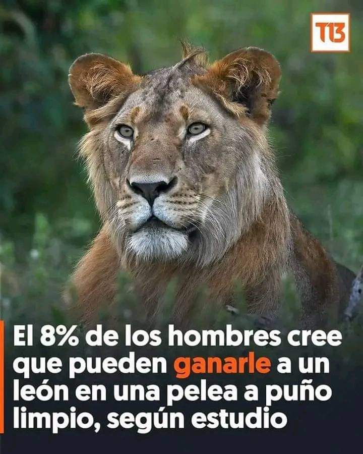 Enséñame de Ciencia tweet media