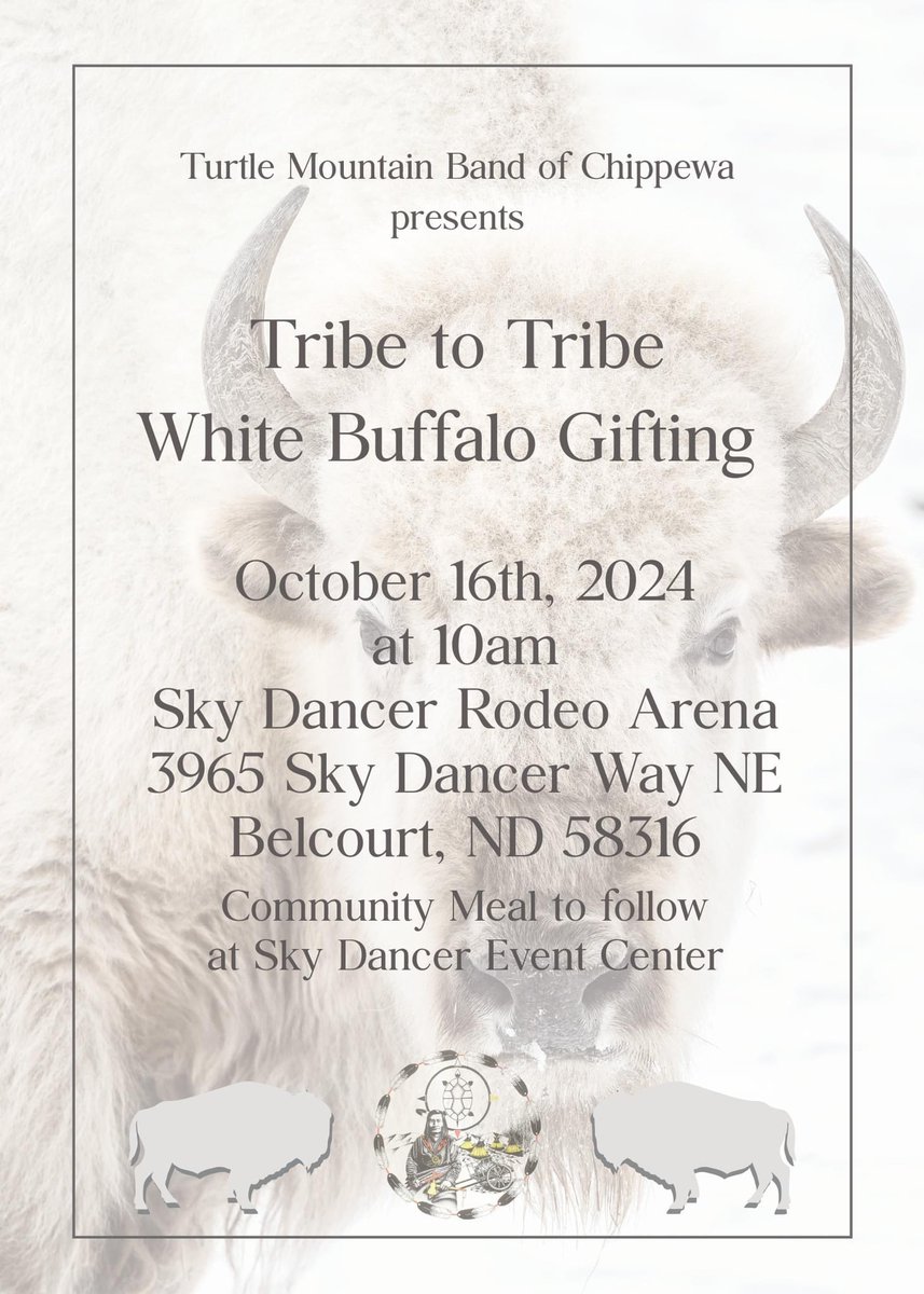 Join us on October 16, 2024, at 10am for the Tribe-to-Tribe White Buffalo Gifting Ceremony at the Sky Dancer Rodeo Arena! 

We are gifting 5 white buffalo calves to multiple tribes as a symbol of unity and peace. TMBCI Tribal Chairman and Council voted unanimously to gift these