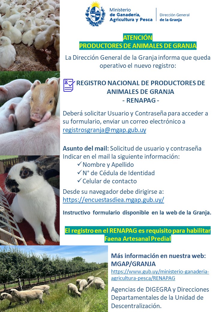 Movimiento JA (@mja1945) on Twitter photo 