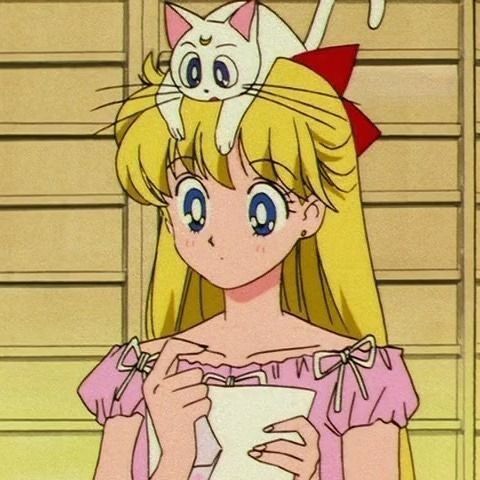 anime_'s tweet photo. Sailor Moon (1992) https://t.co/9Y7ILv3Fd4