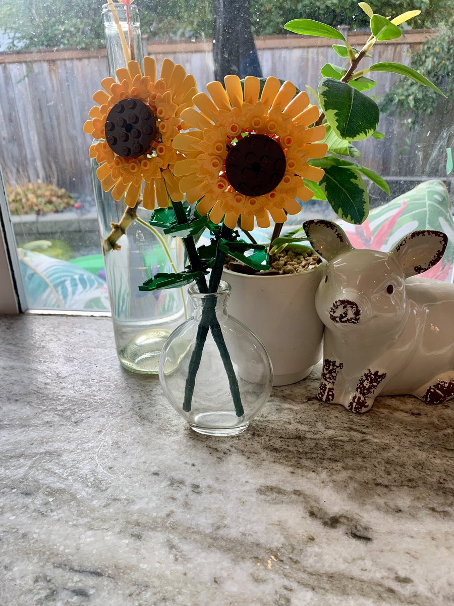 Sweetest of the sunflowers… 🌻 

Legos for the W💛