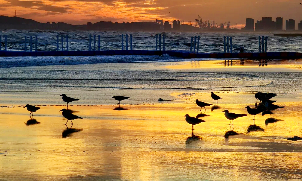 🌅 Early autumn mornings at the Golden Sand Beach Coastal Park in #Yantai Huang-Bohai New Area present breathtaking oil paintings with each shutter press~🌊⛱️ #AmazingYantai #AutumnInYantai 
(Photo by Xiao Shuilian)