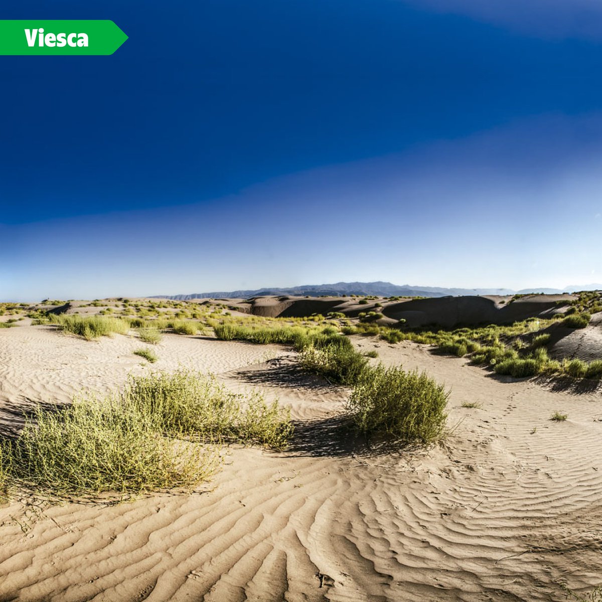 #SorpréndeteConCoahuila (2/3)

<a href="/manolojim/">Manolo Jiménez Salinas</a> 
<a href="/SeTurCoah/">Secretaría de Turismo y Pueblos Mágicos Coahuila</a> 
<a href="/Coahuila/">Turismo de Coahuila</a>