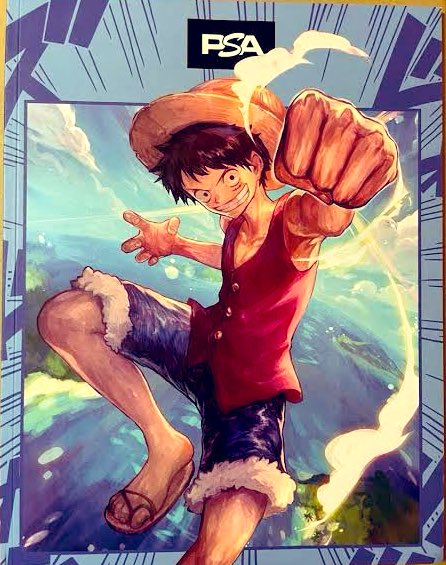 以前描かせていただいたこちらのルフィのイラスト、海外のTCG雑誌のPSAマガジン7月号にて表紙を飾らせていただいていたようです〜✨✨✨わーい🙌 