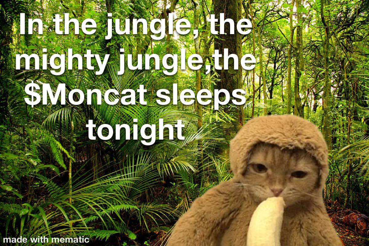 A LITTLE SONG FOR MY FELLOW PEOPLES

$MONCAT THE CUTEST KING OF THE JUNGLE