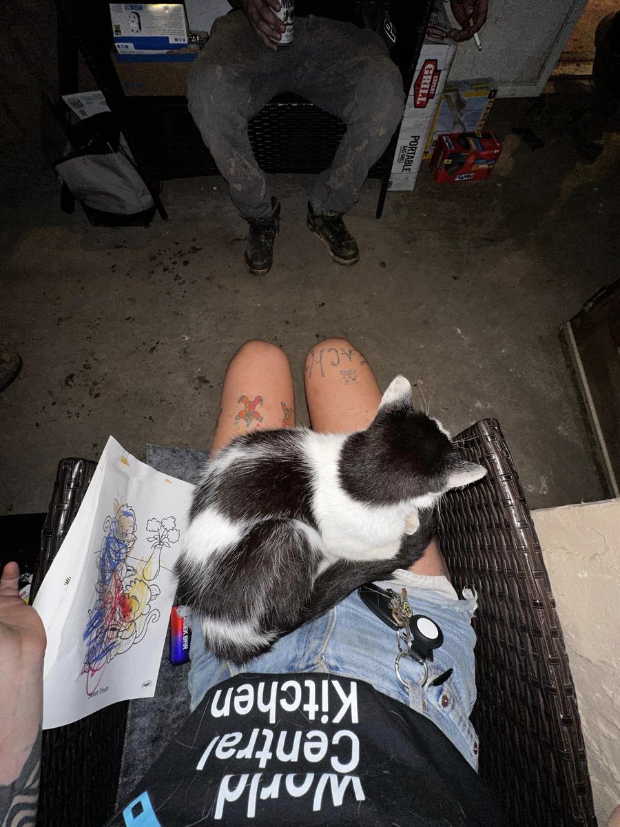 Caroleeenalala's tweet image. This lost kitty showed up at a property volunteers from World Central Kitchen are helping clear. He's very friendly. I think they've found a foster (Caily Norton) but I wanted to share his picture in case it helps someone find their cat.