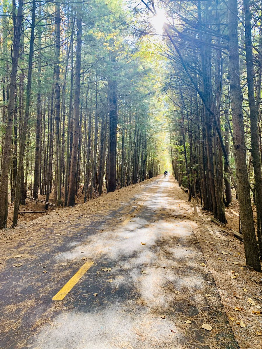 J’adore ce tronçon de piste cyclable à St-Anne-des-Plaines ☀️🚲 #velo
#sainteannedesplaines #terrebonne