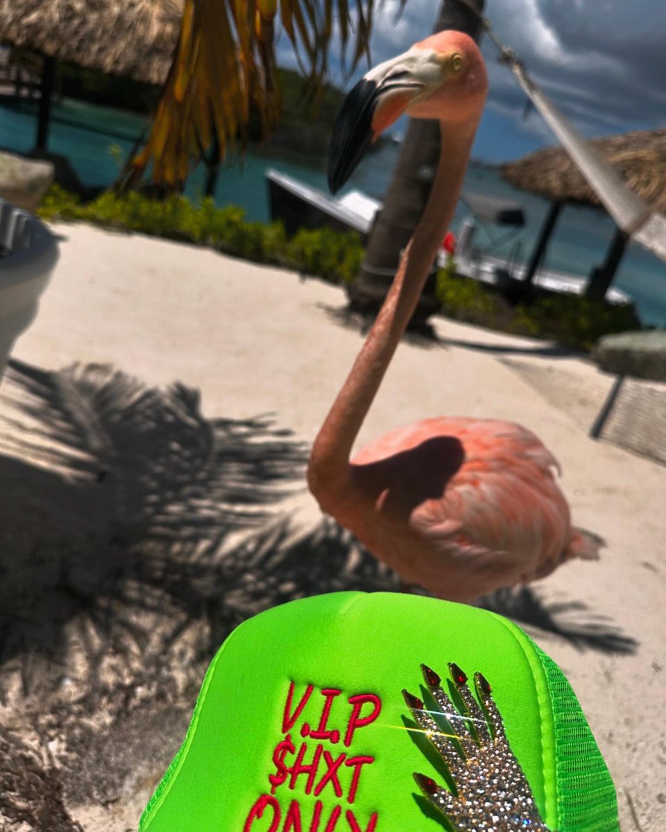 VIP BRI tweet media