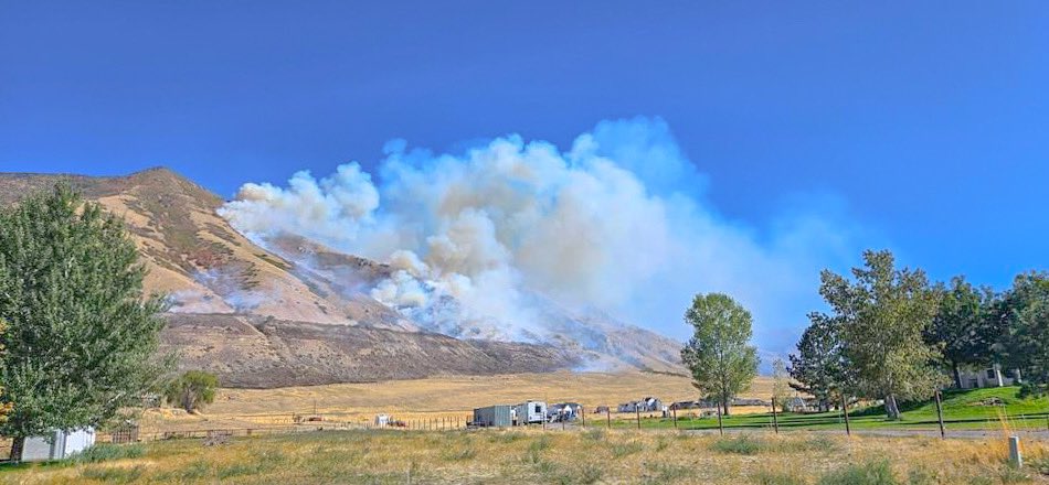 A fire burning on the Oquirrh Mountain East of Erda in #TooeleCounty has burned 20 acres 

#WestOquirrhMountainFire

ksltv.com/689900/new-fir…