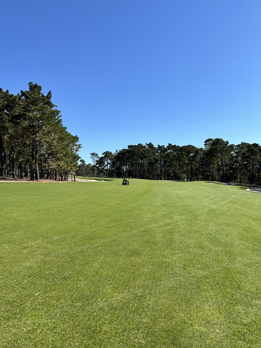 SlowTheGame's tweet image. Crazy what 90 dollar green fee looks like in Monterey

#slowthegame