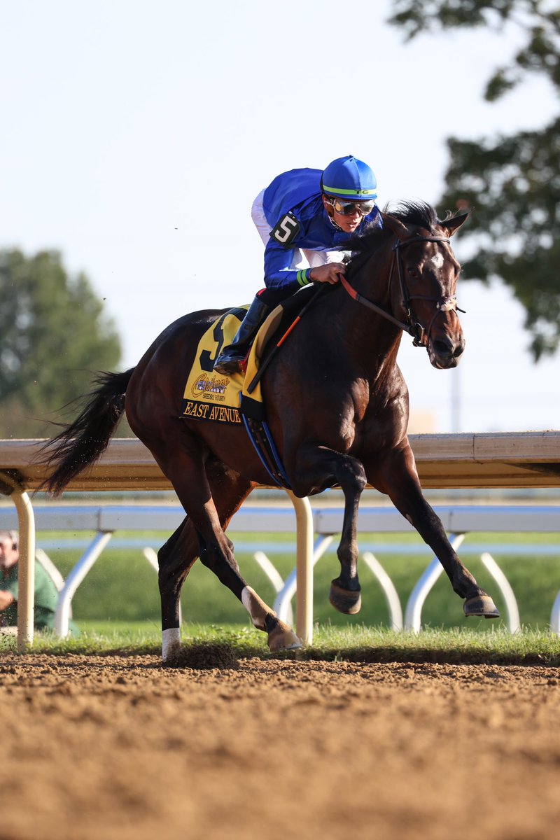 owneycreative's tweet photo. Hang a right on EAST AVENUE and head straight to the Breeders’ Cup! 🎟️ https://t.co/sqqjs3zdqA