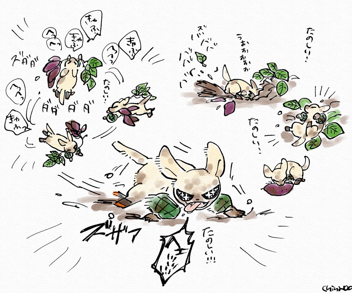 さつまいも掘り体験をするドッグ&amp;キャットです 