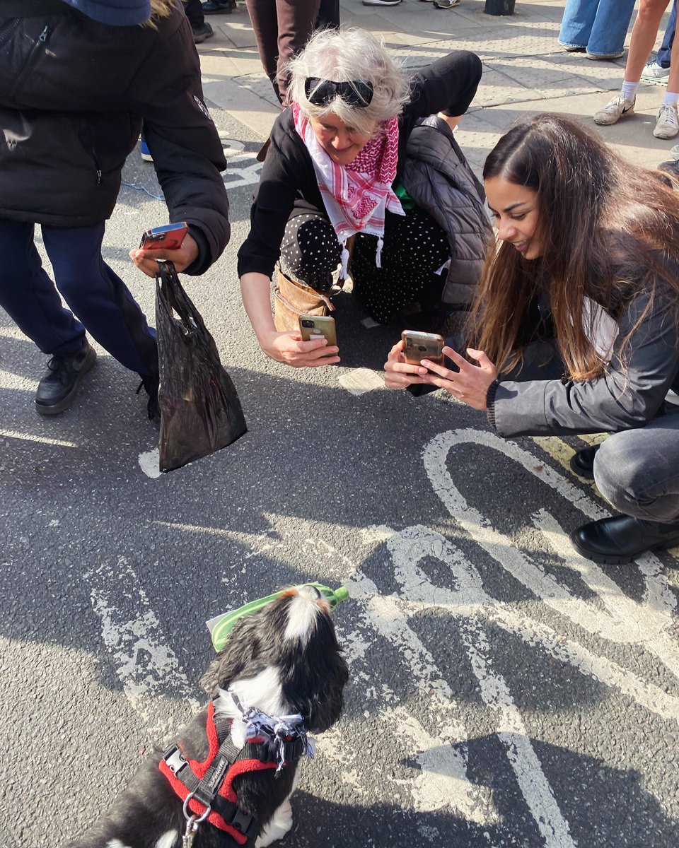 Sara Nanayakkara tweet media