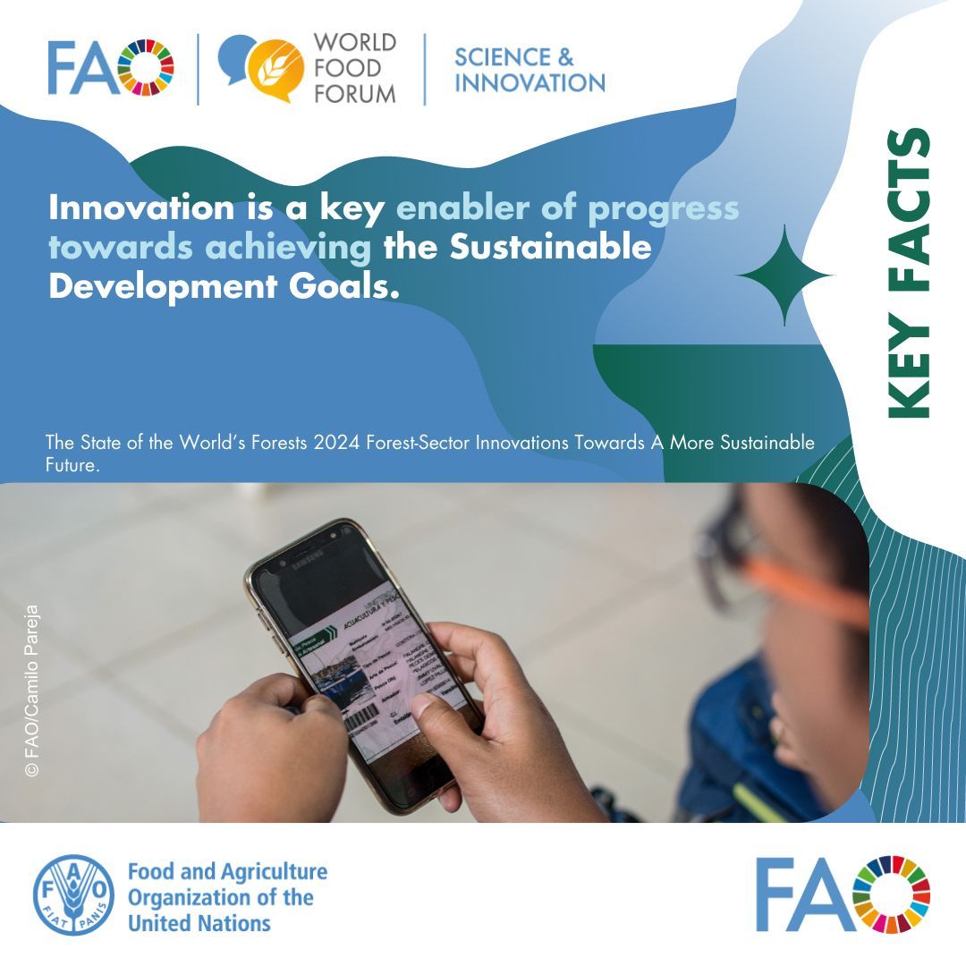 Innovation in all its forms is key to sustainable food systems! 🌿 

At #SIF2024, we'll discuss everything from #Biotech to Grassroots solutions. 

Find out the details 👇 📺 
Check out the programme 🔍 buff.ly/4c1NuYY
Register now ✍️  buff.ly/4bsqNMY
#WFF2024