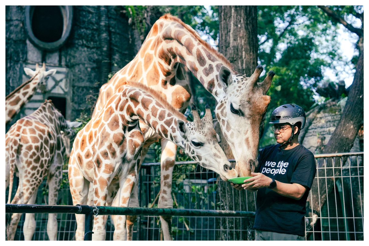 Anies Rasyid Baswedan tweet media