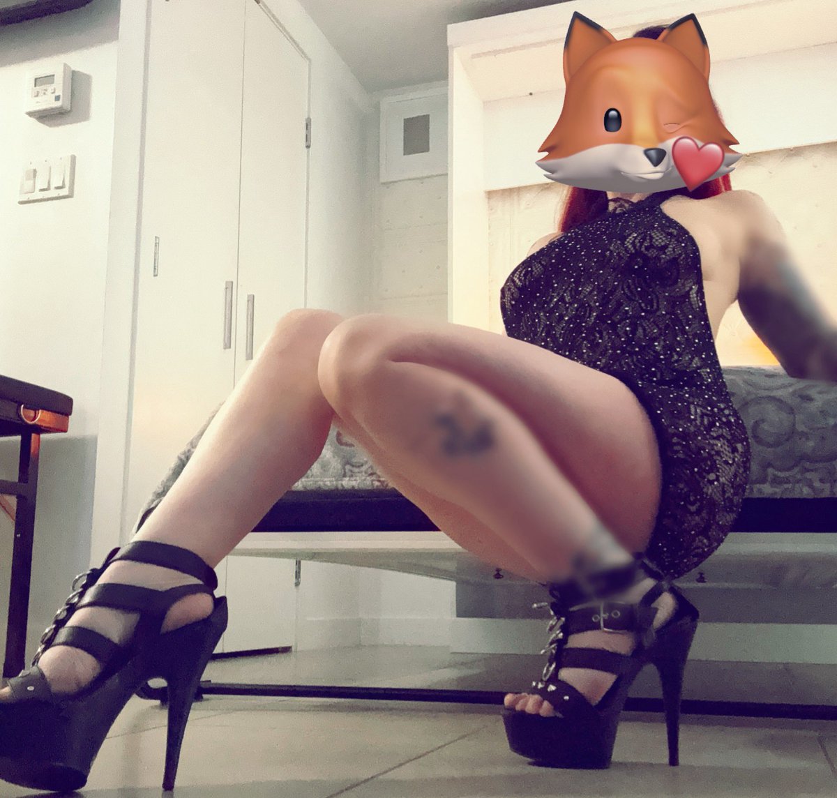 Content from ivylane9191