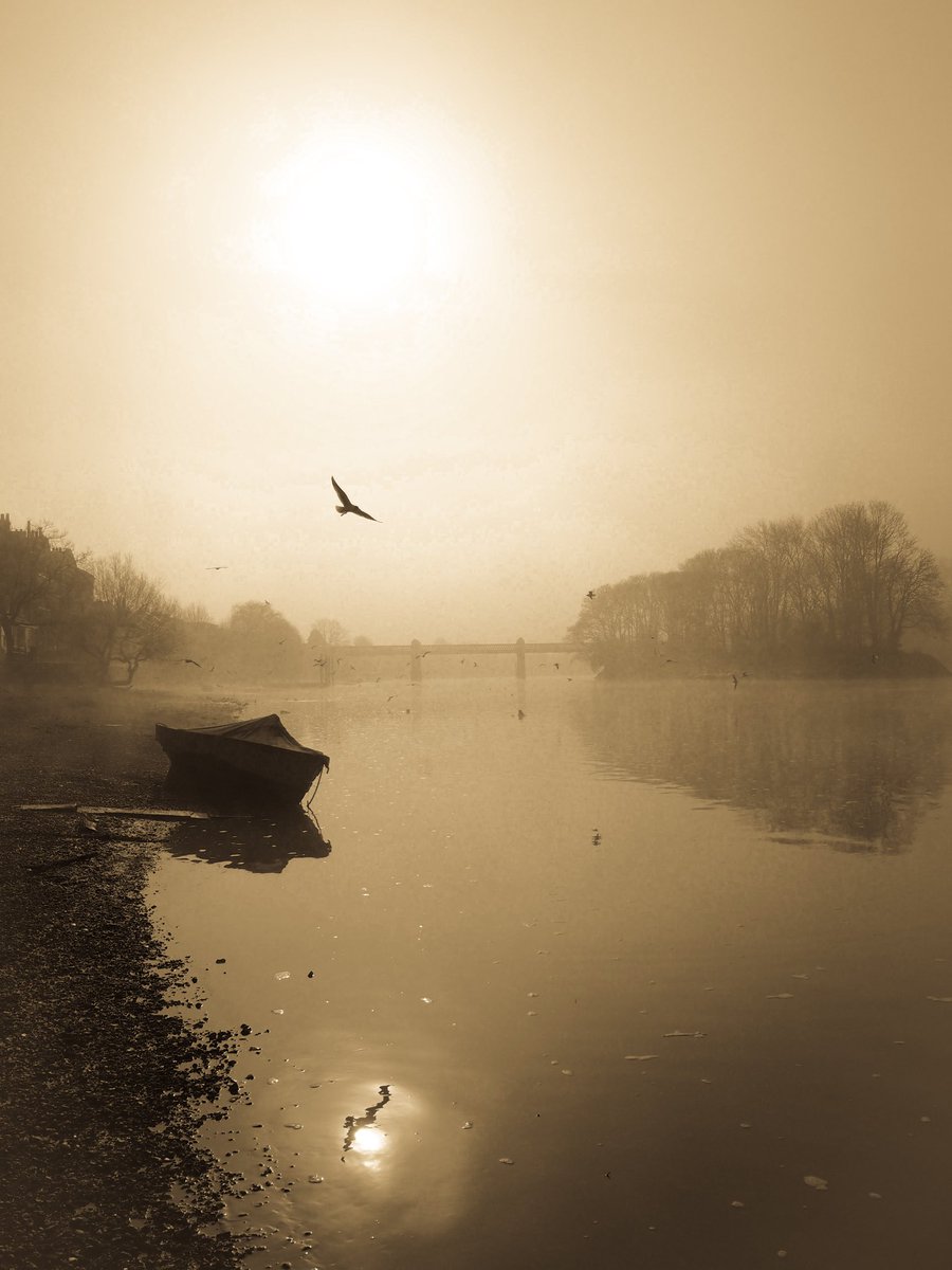 London_W4's tweet image. A hazy shade of winter. Early morning sun trying to break through the mist, as a bird soars above a moored boat on the Thames in Chiswick, with only me to see it.