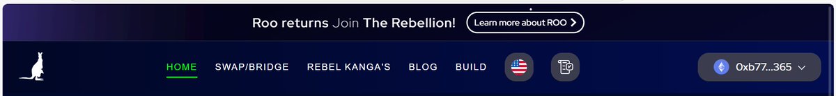 Roo Finance tweet media