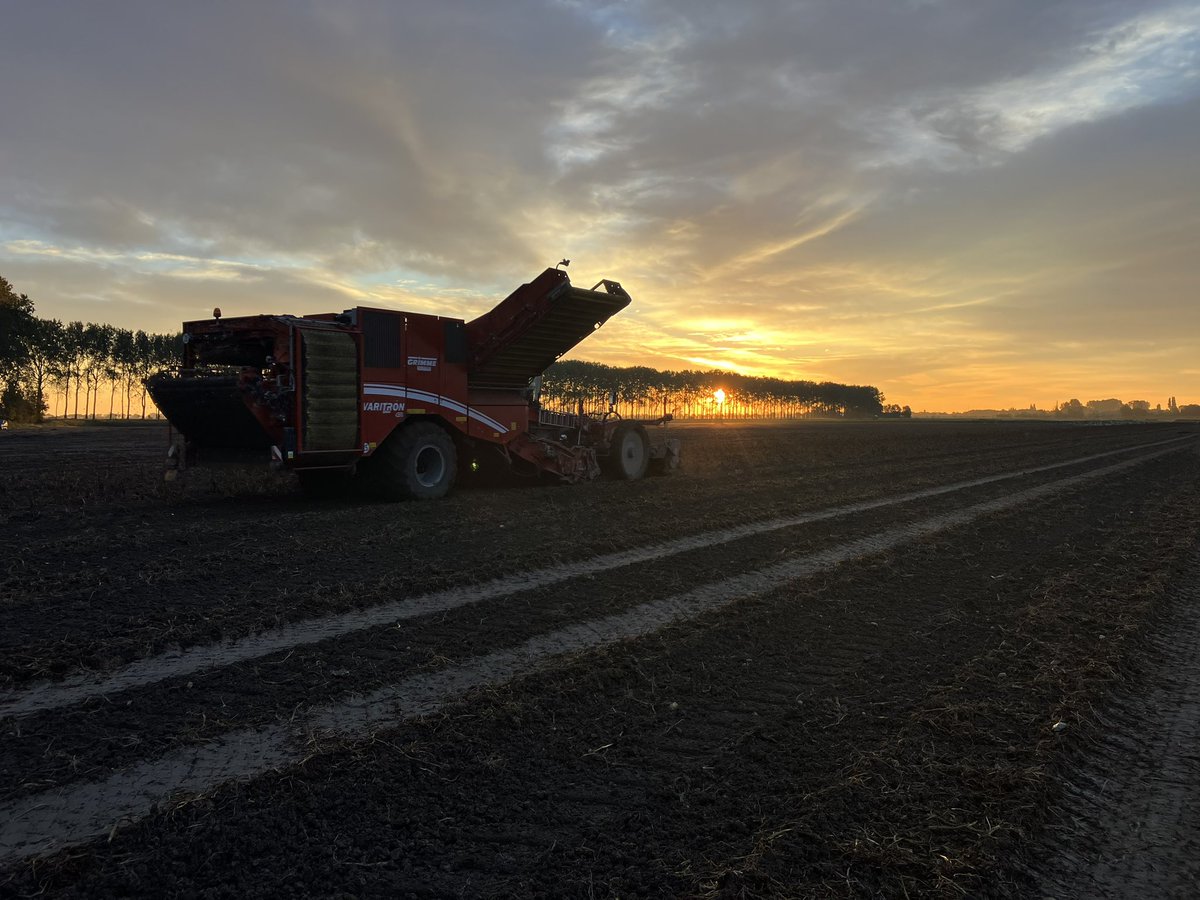 Goedemorgen! #mooiweer #aardappelen #akker #KMWP #oogst24