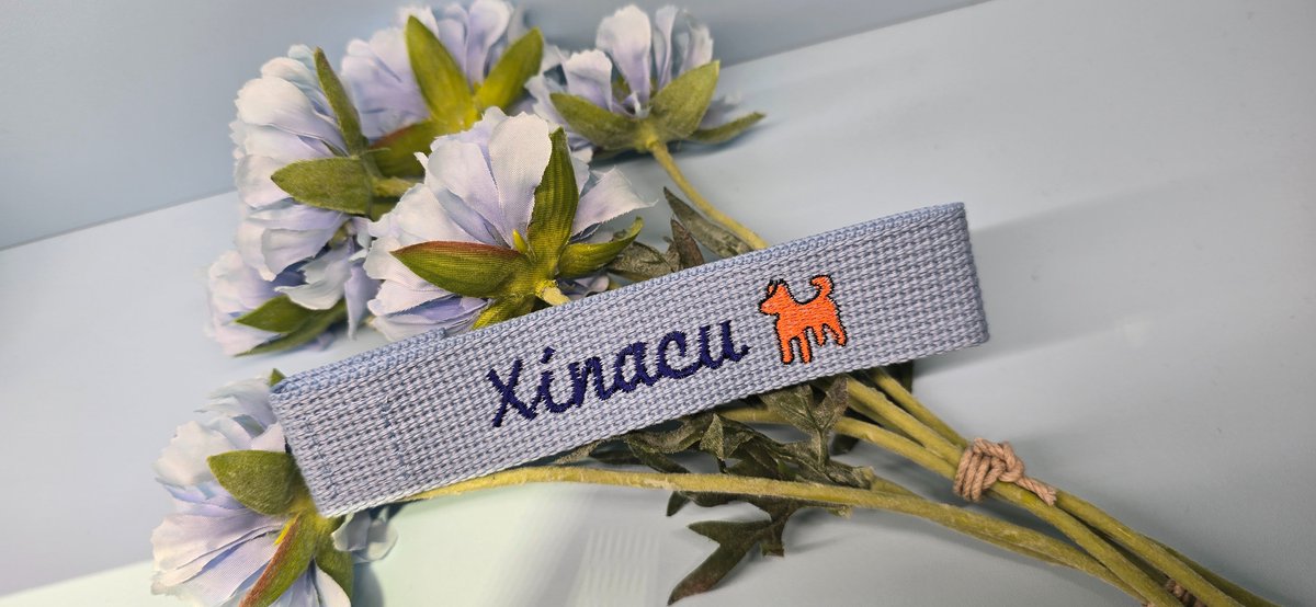 xinacu tweet media