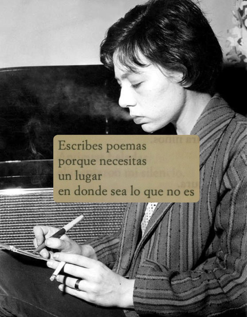 Todos necesitamos un lugar así, ese que describió Pizarnik:
“Un lugar
en donde sea lo que no es.”
❤️‍🩹
#cementeriodelibros