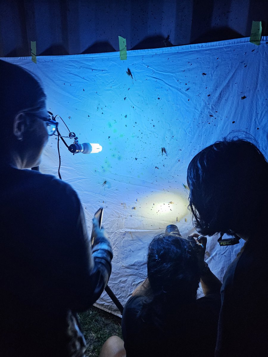 Scrubblegum 🦒 tweet media