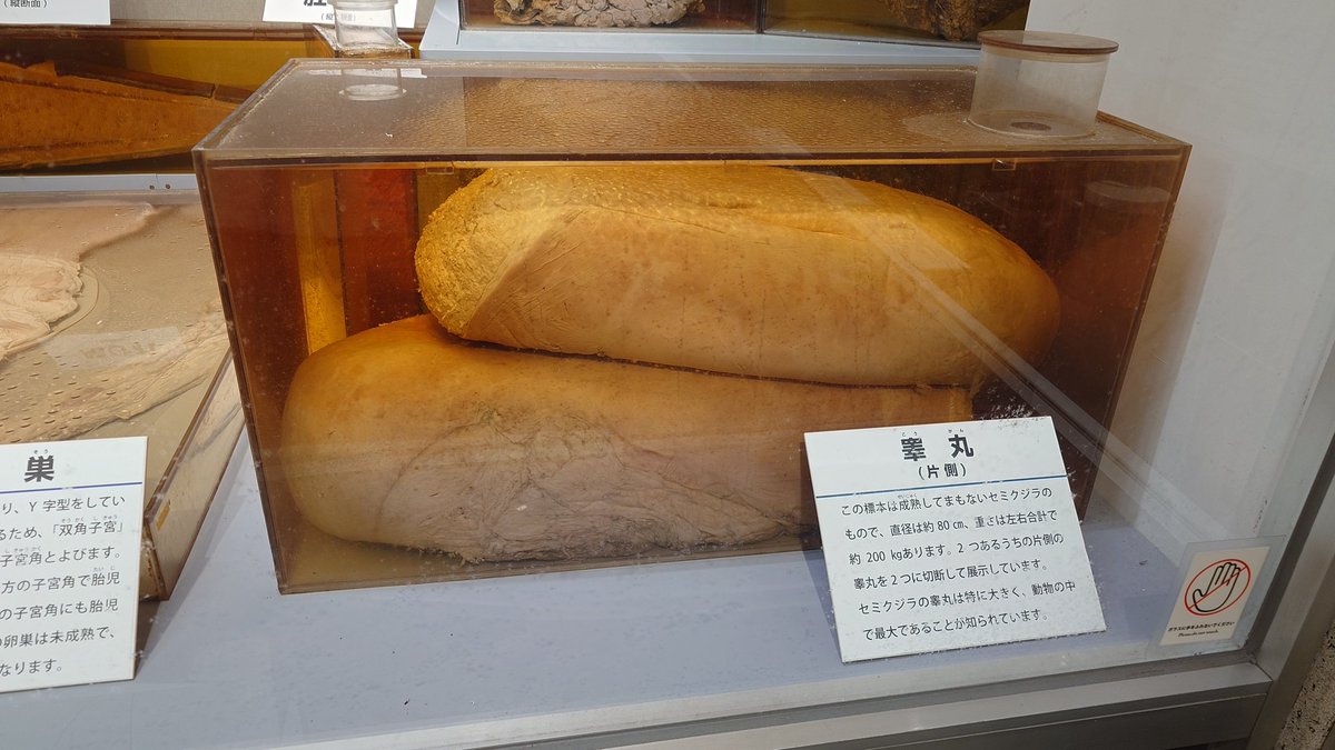 mosquito💉💘 on X