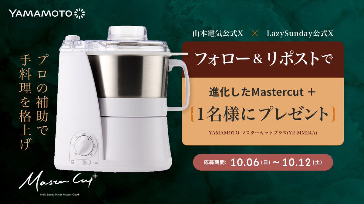 YAMAMOTO マルチフードプロセッサー マスターカット (YE-MM41)白