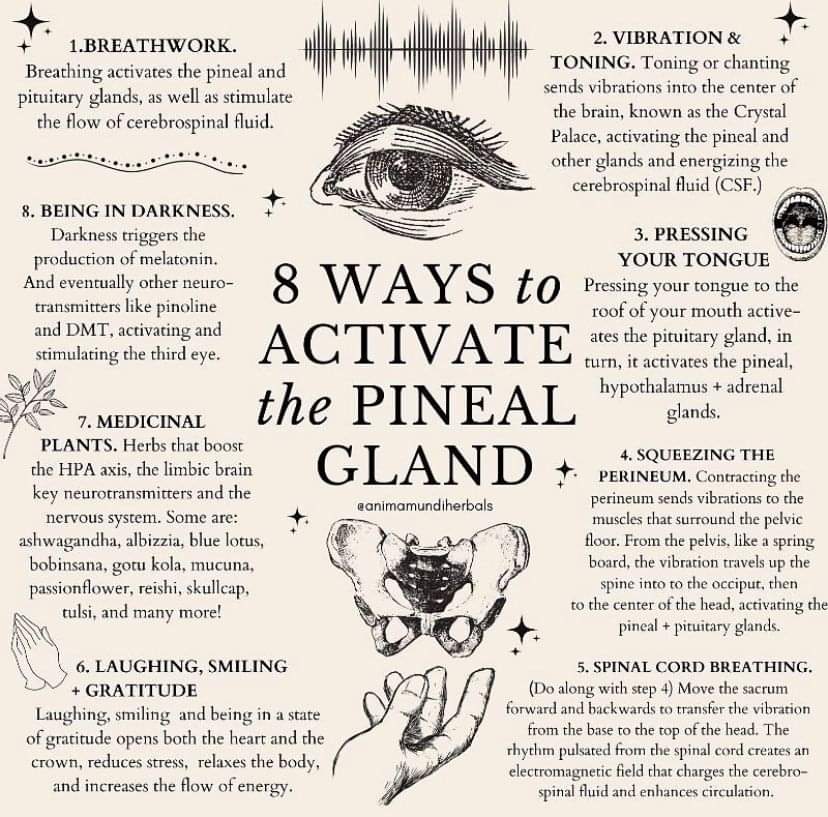 illuminati_529's tweet image. 8  Ways  to activate The 
✨ Pineal  Gland 

#pinealgland #pinealglandactivation #thirdeye

Read The Article  

⬇️⬇️⬇️⬇️⬇️⬇️⬇️⬇️