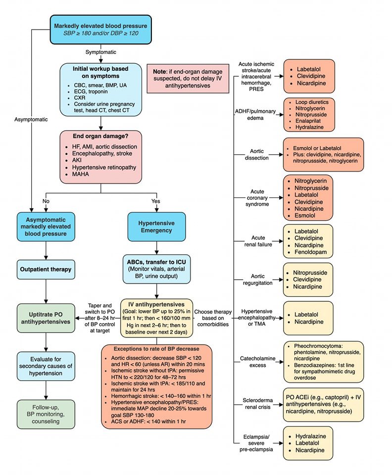 Severe Hypertension algorithm in 2024

Credit: <a href="/MatthewHoMD/">Matthew Ho</a> #MedEd #MedX #hypertension