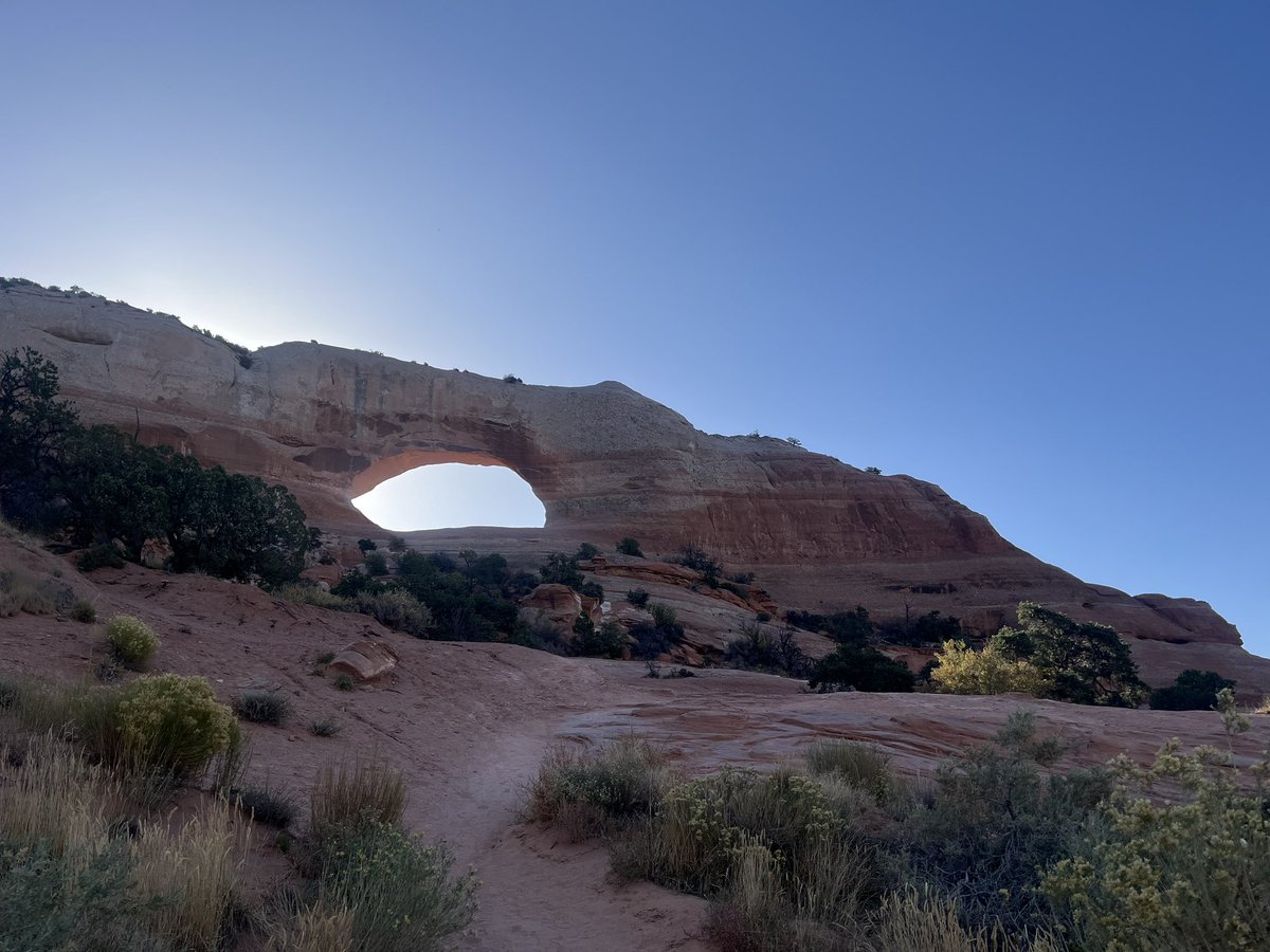 Peter Fallon tweet media