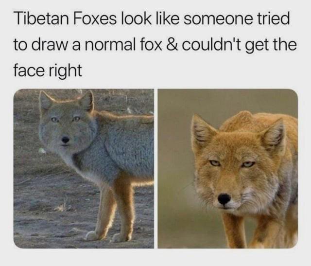 star 💫 (@stxrinsky) on Twitter photo 