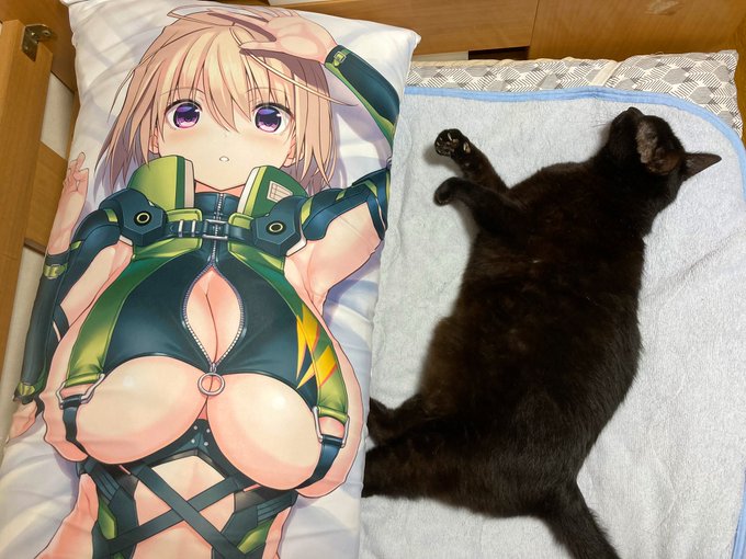 初めて抱き枕カバー使ってみたけどあまりにもデカすぎて猫が寝たらワイの寝る場所無くなってワロタ 