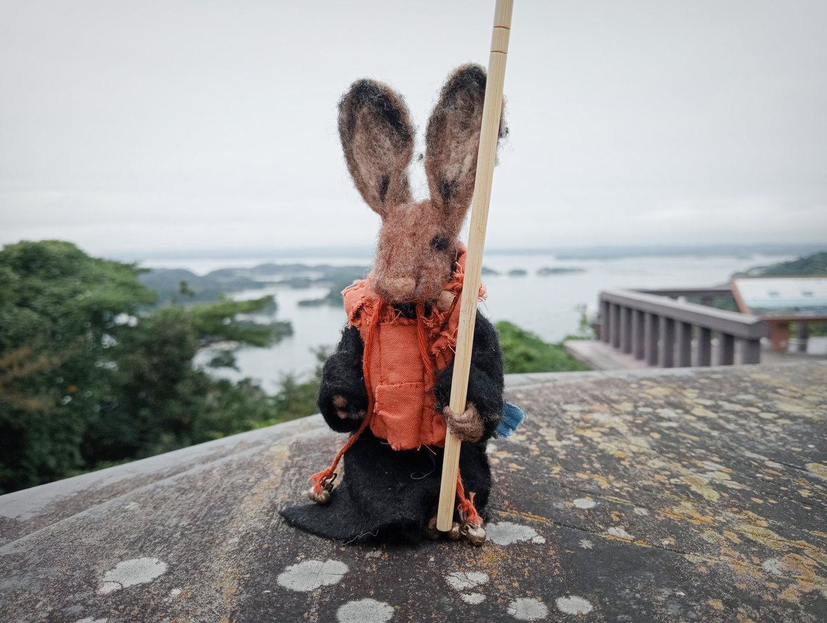 Roshi Rabbit tweet media