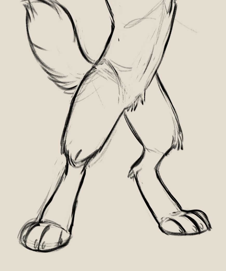 Remy__Wolf's tweet photo. leg https://t.co/xBoyTyFnG4