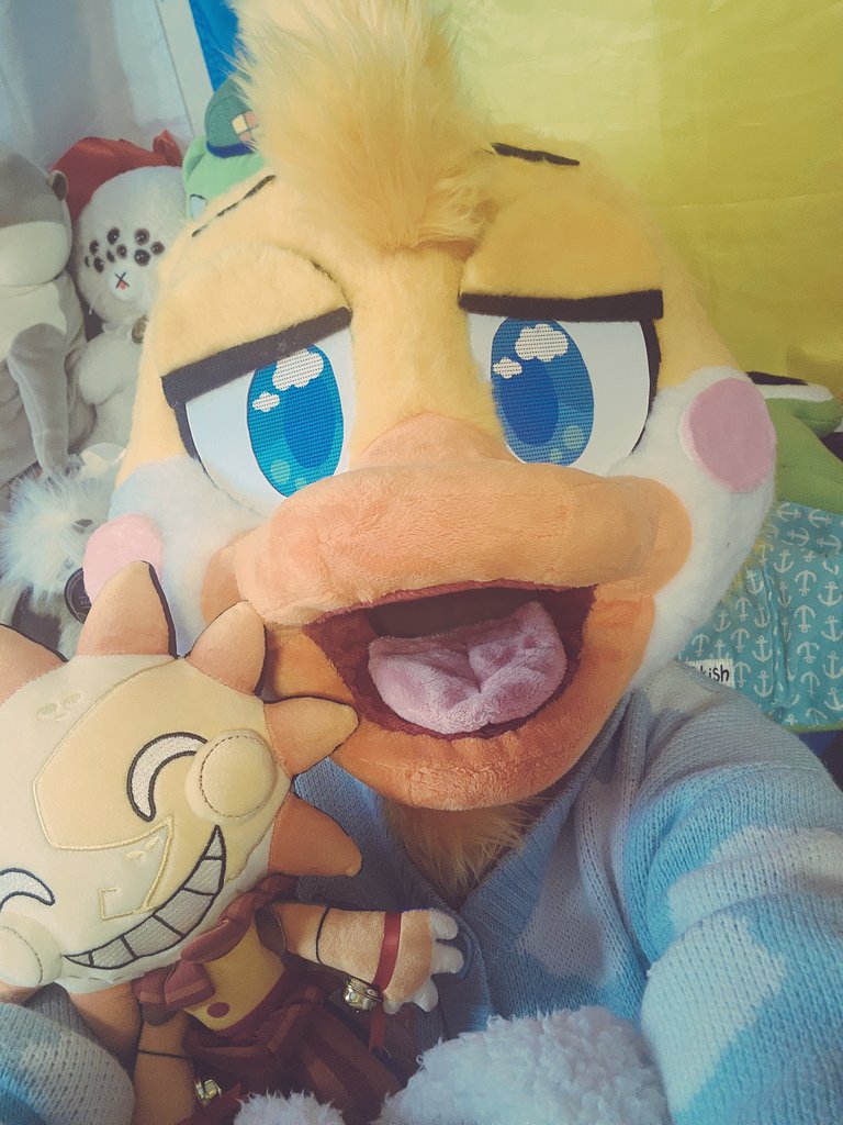 Halfway through the long work weekend. Super tired..  Wish Macadilly a goodnight. He desperately needs it ✨️😩