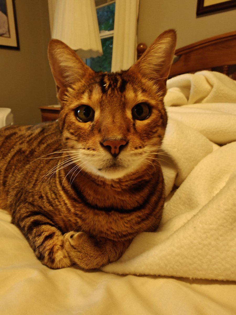 physicallychat's tweet image. I moved out. I think someone's gonna miss me 😢