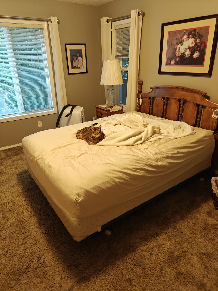 physicallychat's tweet image. I moved out. I think someone's gonna miss me 😢