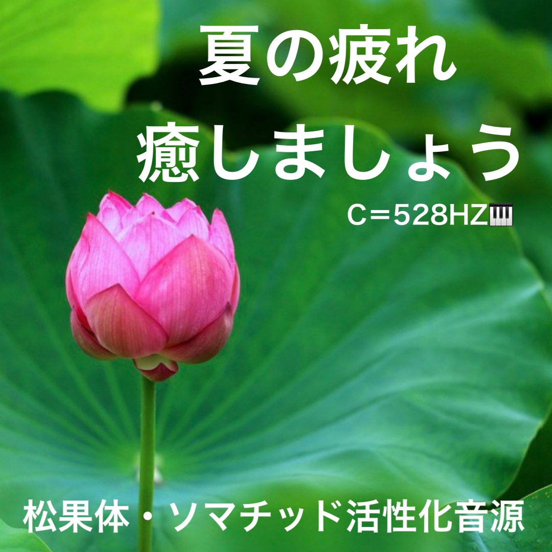 夏の疲れ癒しましょう♫
新時代の周波数〜C＝528HZ🎹松果体・ソマチッド活性化音源

youtu.be/uhkFNHjCAV4?si…