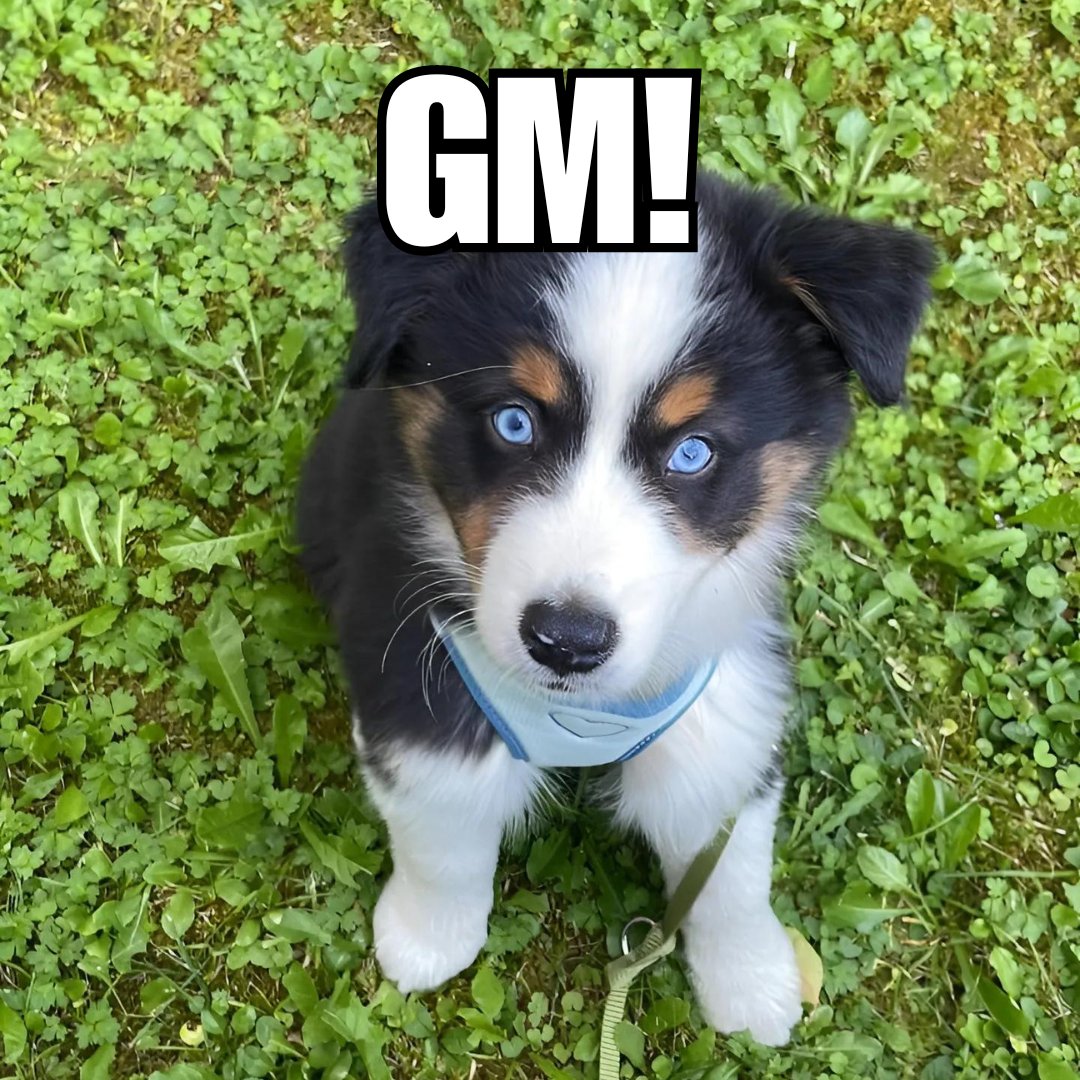 Woof woof! Don’t forget to touch some grass this weekend! 🐾🌱