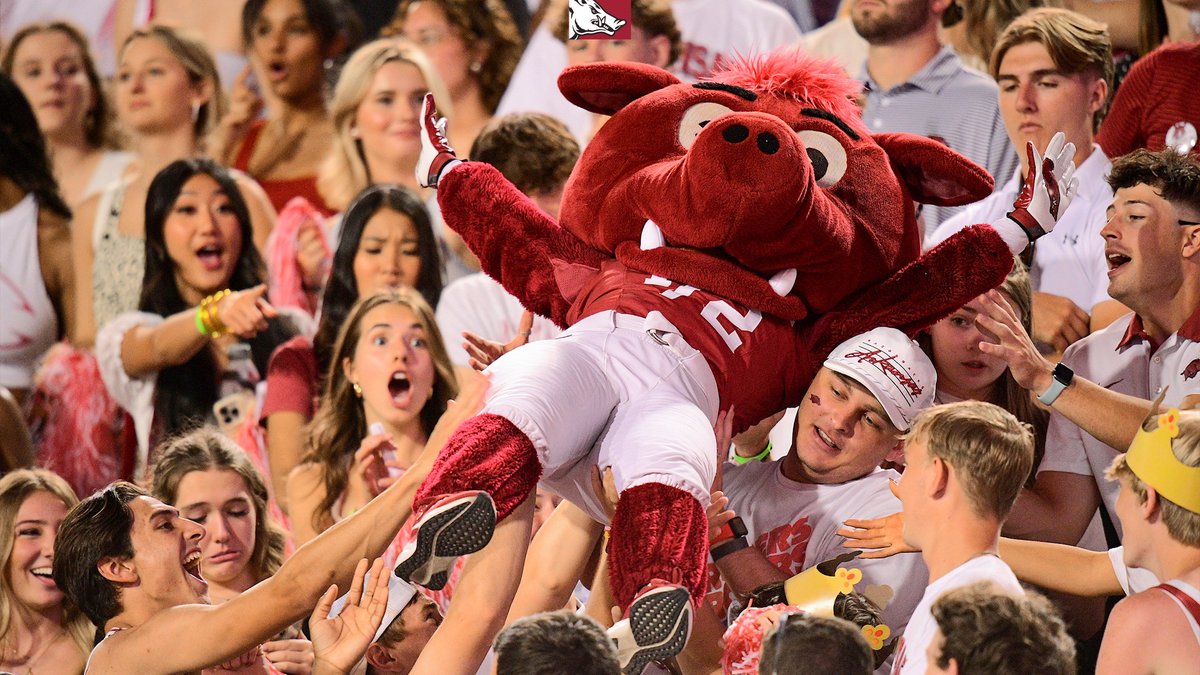 ArkRazorbacks's tweet image. HOG FANS HOW WE FEELIN