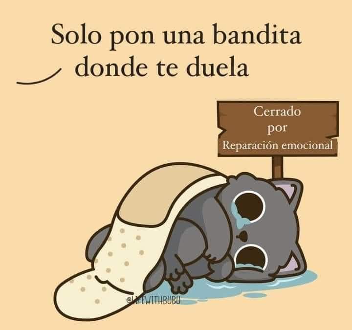 Briagowsky's tweet photo. Hola https://t.co/HYKJozVJGS
